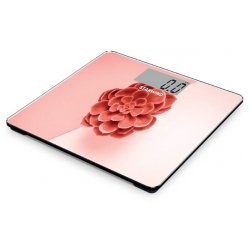 Starwind SSP6041